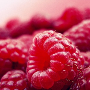 Raspberry - FA0064