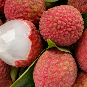 Lychee - FA0384