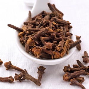 Clove - FA0554